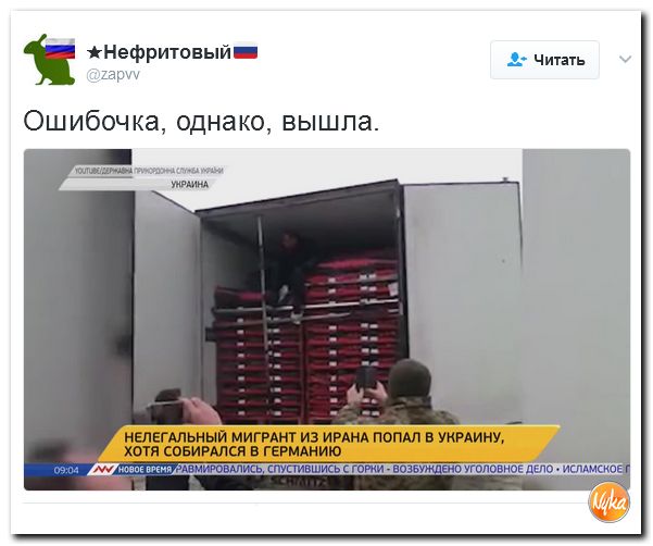 "Мыздобулы" в картинках. Смешных и не очень... 16-02-2017