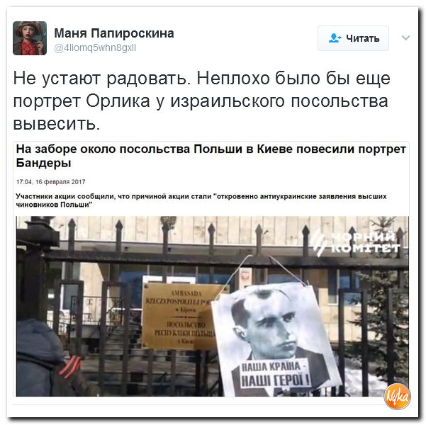 "Мыздобулы" в картинках. Смешных и не очень... 17-02-2017