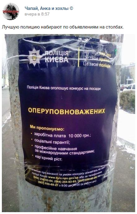 "Мыздобулы" в картинках. Смешных и не очень... 17-02-2017