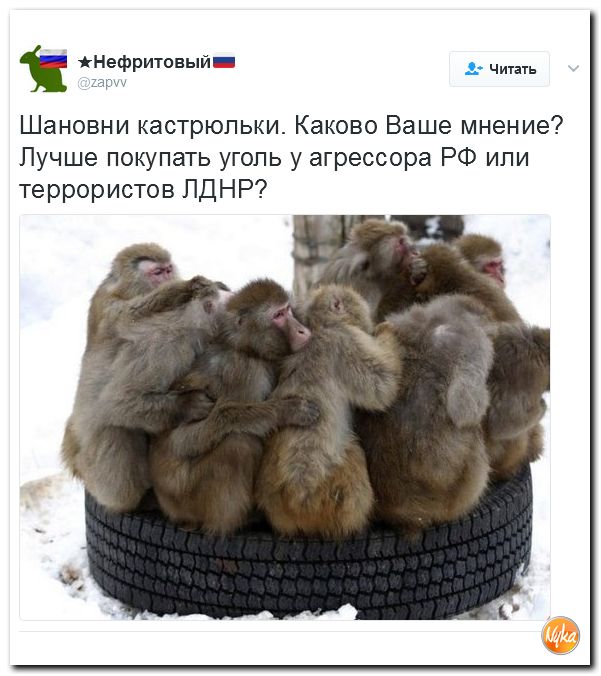 "Мыздобулы" в картинках. Смешных и не очень... 17-02-2017