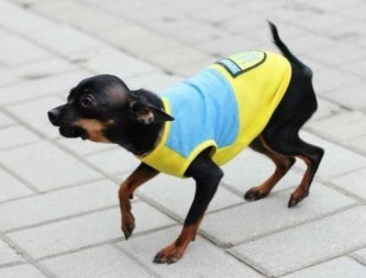 Киев в бешенстве: Россия признала Донбасс де-юре