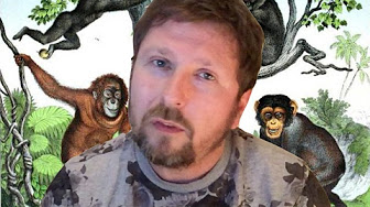 Чуркин, чурки и приматы Чуркин, чурки и приматы