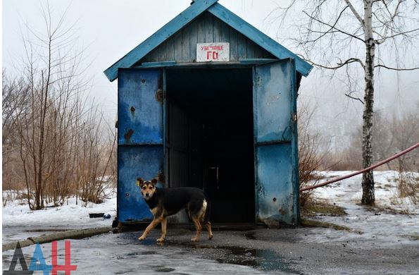 Сводка от МО ДНР 24 февраля 2017. Подразделения Киева за неделю свыше 9,3 тысяч раз открывали огонь по территории ДНР Сводка от МО ДНР 24 февраля 2017. Подразделения Киева за неделю свыше 9,3 тысяч раз открывали огонь по территории ДНР