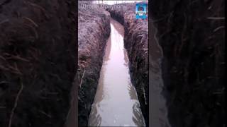 Новые войска в ВСУ: Речная сыкопехота