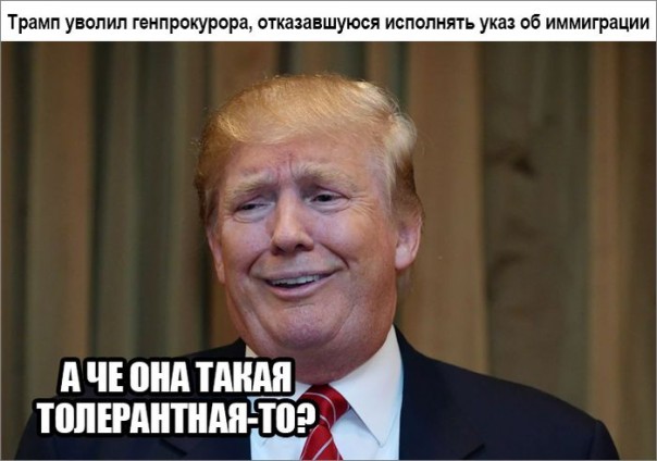 "Мыздобулы" в картинках. Смешных и не очень... 2-02-2017