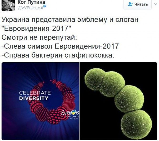 "Мыздобулы" в картинках. Смешных и не очень... 2-02-2017