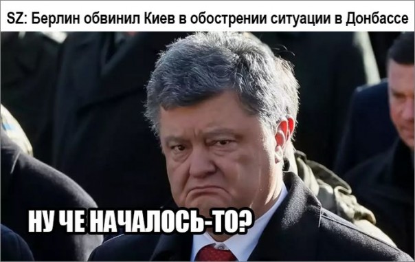 "Мыздобулы" в картинках. Смешных и не очень... 2-02-2017