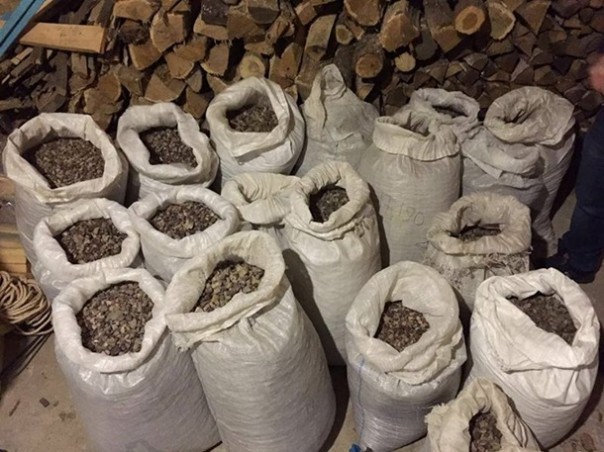 Новости Янтарной Народной Республики: Менты отобрали полтонны янтаря в Олевске