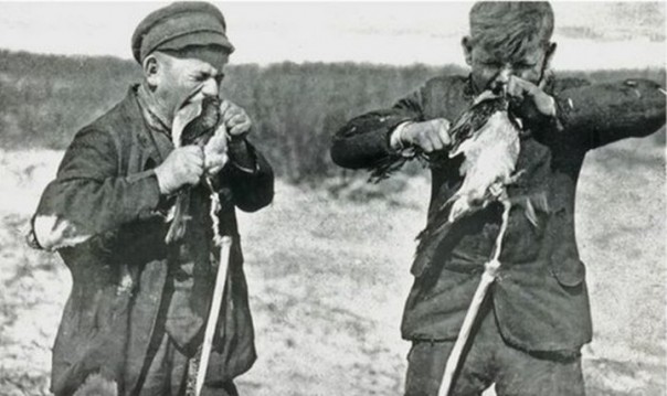 Кусатели ворон или как ловили птиц на Куршской косе Кусатели ворон или как ловили птиц на Куршской косе