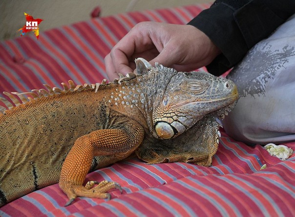 Самая горячая точка на Донбассе. Промзона Авдеевки