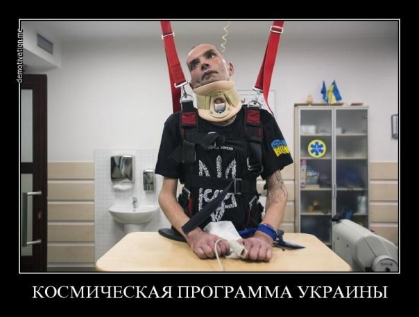 "Мыздобулы" в картинках. Смешных и не очень... 3-02-2017