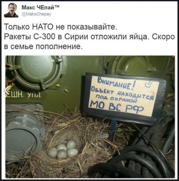 "Мыздобулы" в картинках. Смешных и не очень... 3-02-2017
