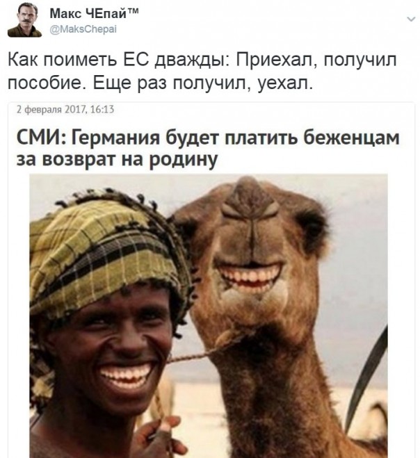 "Мыздобулы" в картинках. Смешных и не очень... 3-02-2017