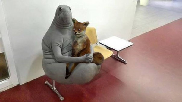 Позитивный Ждун Позитивный Ждун