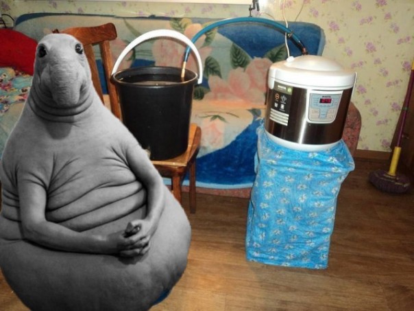 Позитивный Ждун Позитивный Ждун