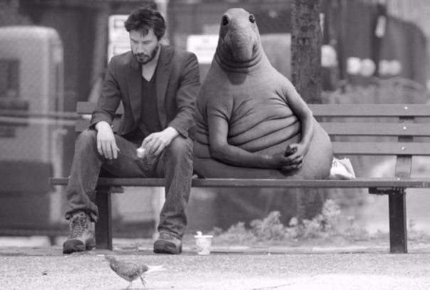 Позитивный Ждун Позитивный Ждун