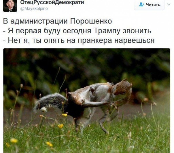 "Мыздобулы" в картинках. Смешных и не очень... 4-02-2017
