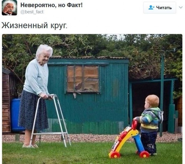 "Мыздобулы" в картинках. Смешных и не очень... 4-02-2017