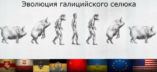 "Мыздобулы" в картинках. Смешных и не очень... 4-02-2017