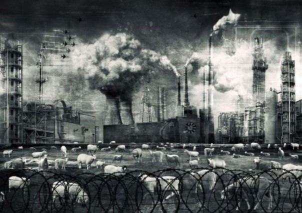 Надо ввести юридическую ответственность за сострадание к русским! Надо ввести юридическую ответственность за сострадание к русским!