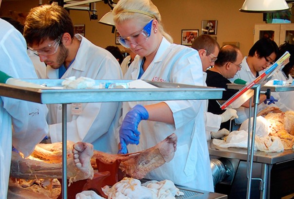 «Россия и мир говорят на разных медицинских языках» «Россия и мир говорят на разных медицинских языках»