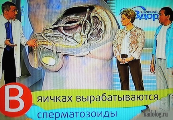 Паноптикум от Елены Малышевой Паноптикум от Елены Малышевой