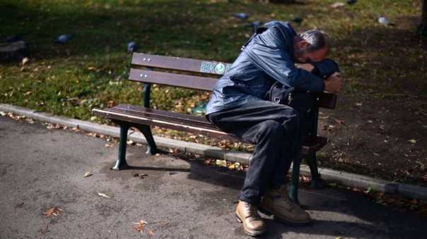 Веганы из-за бедности: в Латвии цены заставляют отказаться от мяса