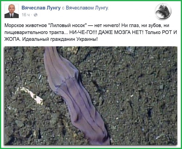 "Мыздобулы" в картинках. Смешных и не очень... 12-02-2017 "Мыздобулы" в картинках. Смешных и не очень... 12-02-2017