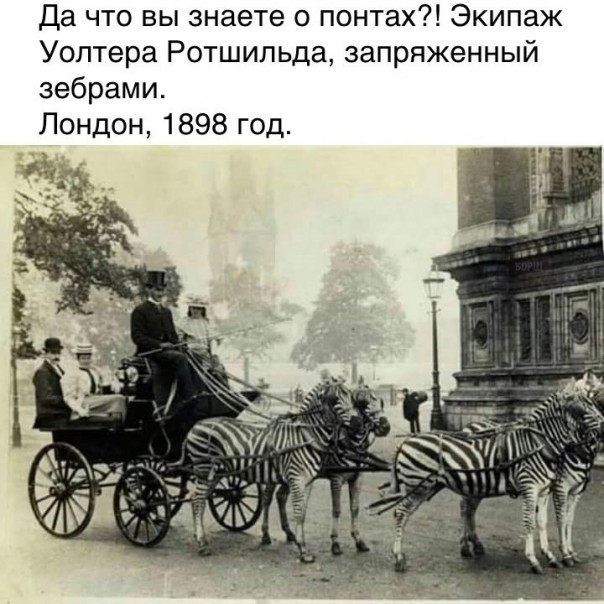 "Мыздобулы" в картинках. Смешных и не очень... 12-02-2017 "Мыздобулы" в картинках. Смешных и не очень... 12-02-2017