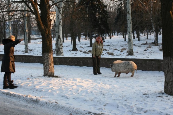 Срочно! Пидорошенко приехал в Марьинку! Срочно! Пидорошенко приехал в Марьинку!