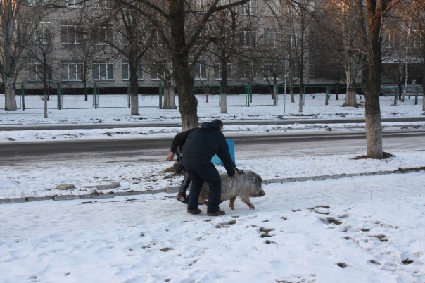 Срочно! Пидорошенко приехал в Марьинку! Срочно! Пидорошенко приехал в Марьинку!