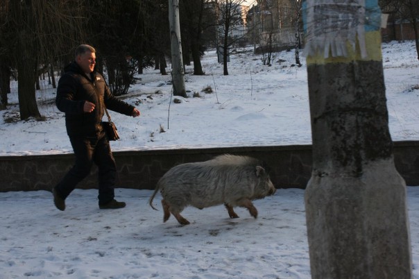 Срочно! Пидорошенко приехал в Марьинку! Срочно! Пидорошенко приехал в Марьинку!