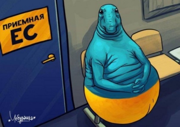 НАТО, ЕС, Украина: попользовать – не значит полюбить... Владимир Скачко