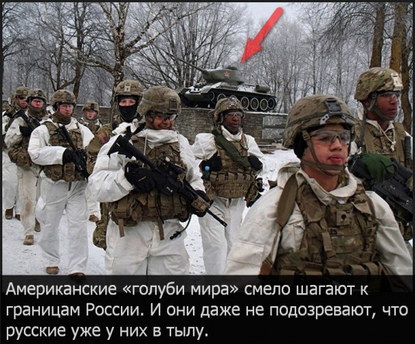 "Мыздобулы" в картинках. Смешных и не очень... 14-02-2017