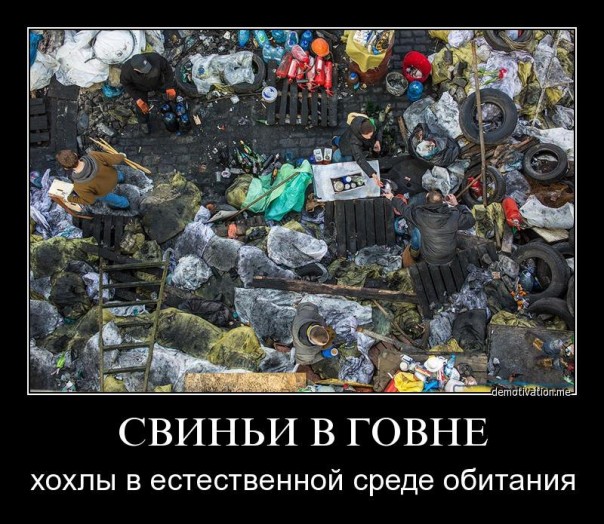 "Мыздобулы" в картинках. Смешных и не очень... 15-02-2017