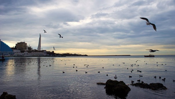 Сенатор Ковитиди провела аналогию между Крымом и Техасом