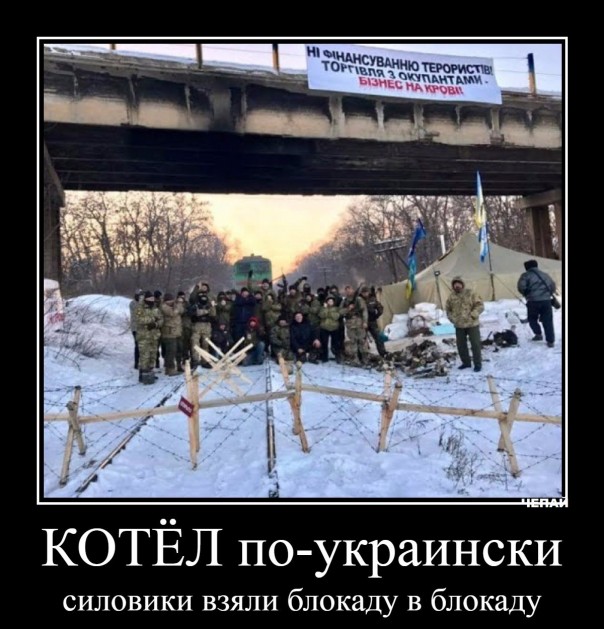 "Мыздобулы" в картинках. Смешных и не очень... 17-02-2017