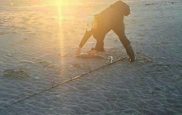 Вам показалось: 30 самых обескураживающих фотографий