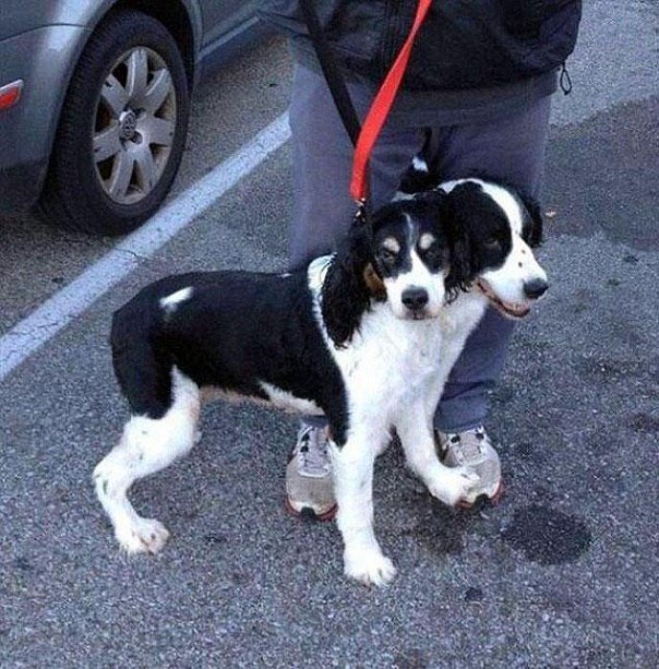 Вам показалось: 30 самых обескураживающих фотографий