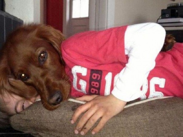 Вам показалось: 30 самых обескураживающих фотографий