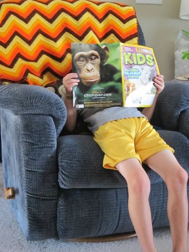 Вам показалось: 30 самых обескураживающих фотографий