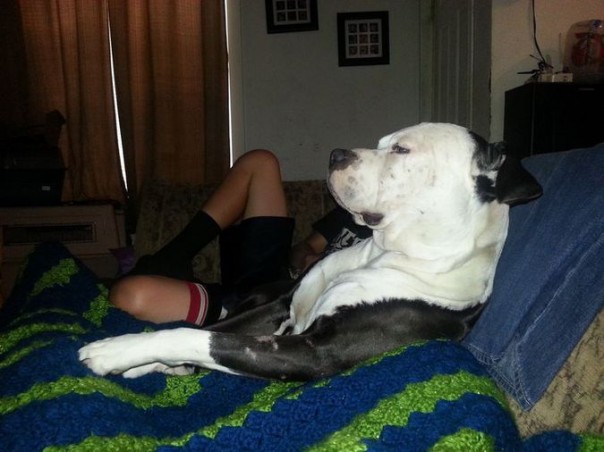 Вам показалось: 30 самых обескураживающих фотографий