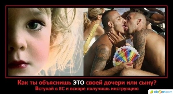 "Мыздобулы" в картинках. Смешных и не очень... 23-02-2017 "Мыздобулы" в картинках. Смешных и не очень... 23-02-2017