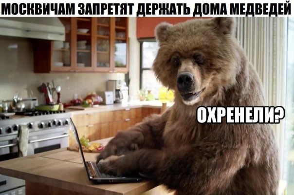 "Мыздобулы" в картинках. Смешных и не очень... 23-02-2017 "Мыздобулы" в картинках. Смешных и не очень... 23-02-2017