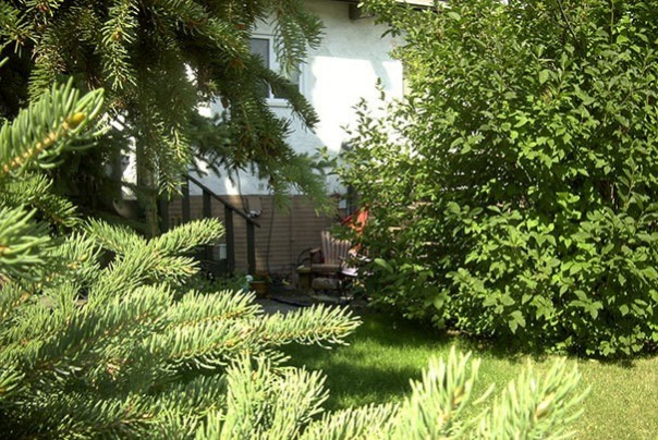 Найди кота! 18 фото со спрятавшимися котами заставят вас поломать голову Найди кота! 18 фото со спрятавшимися котами заставят вас поломать голову