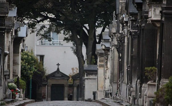 Найди кота! 18 фото со спрятавшимися котами заставят вас поломать голову Найди кота! 18 фото со спрятавшимися котами заставят вас поломать голову