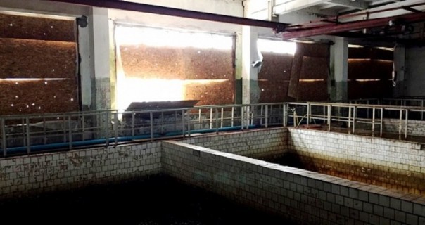 Кризис вокруг ДФС. Colonel Cassad