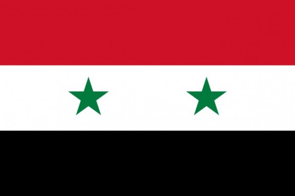 Работа над ошибками: успешное наступление армии САР на подступах к Пальмире