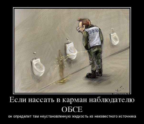 Мы, Гройсман Винницкий...