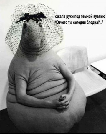 Позитивный Ждун